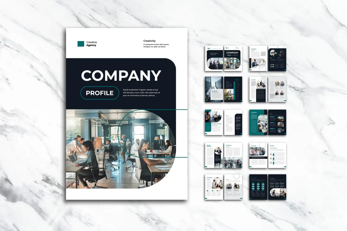 Company profile